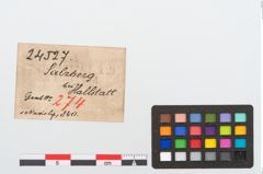 Etikett zu Bronzekugelkopfnadel (NHMW-PRAE-024527)